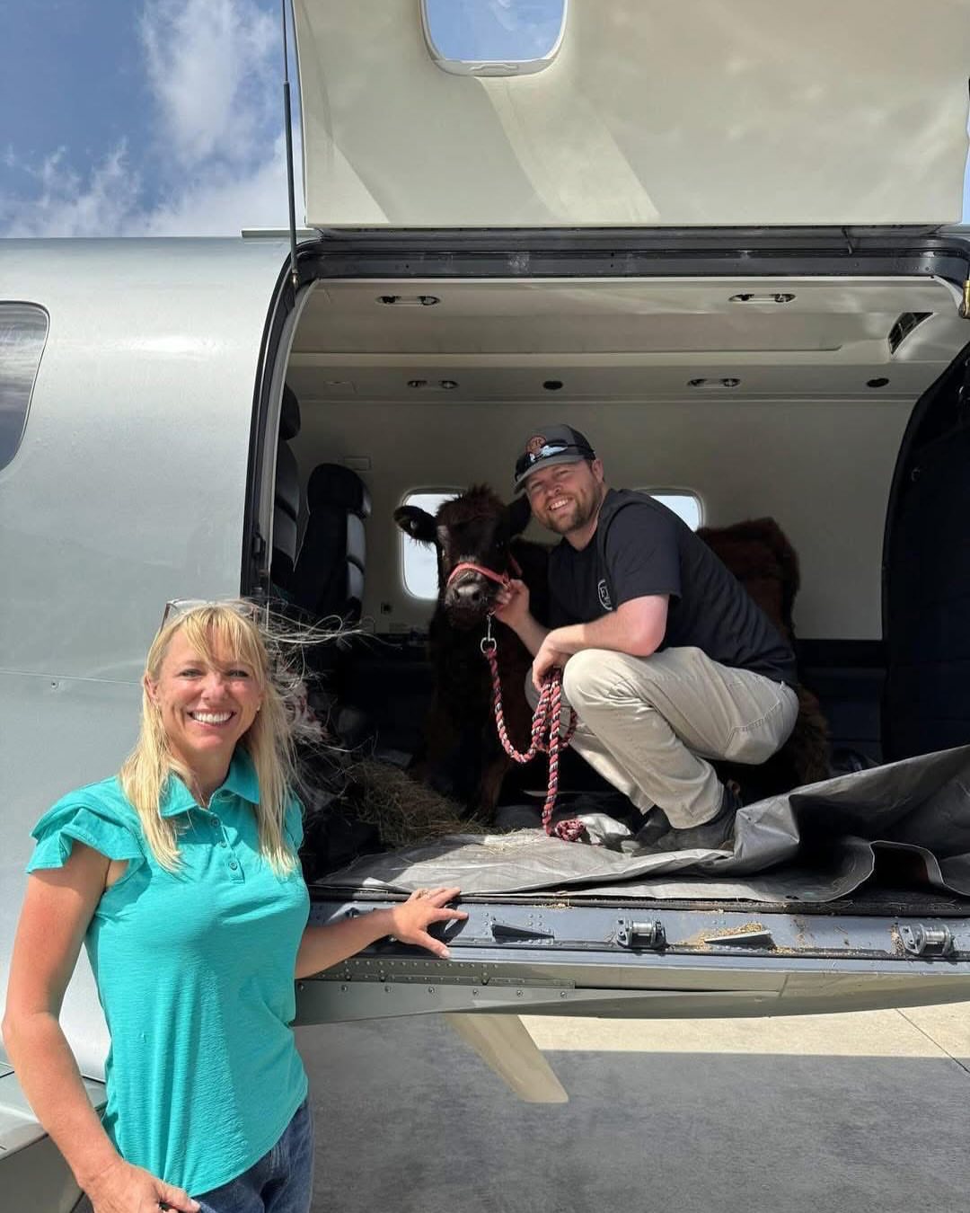 miniature-donkeys-miniature-highland-cattle-for-sale